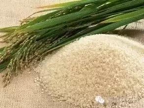 新規速遞 食用農產品初加工環節迎來監管新要求
